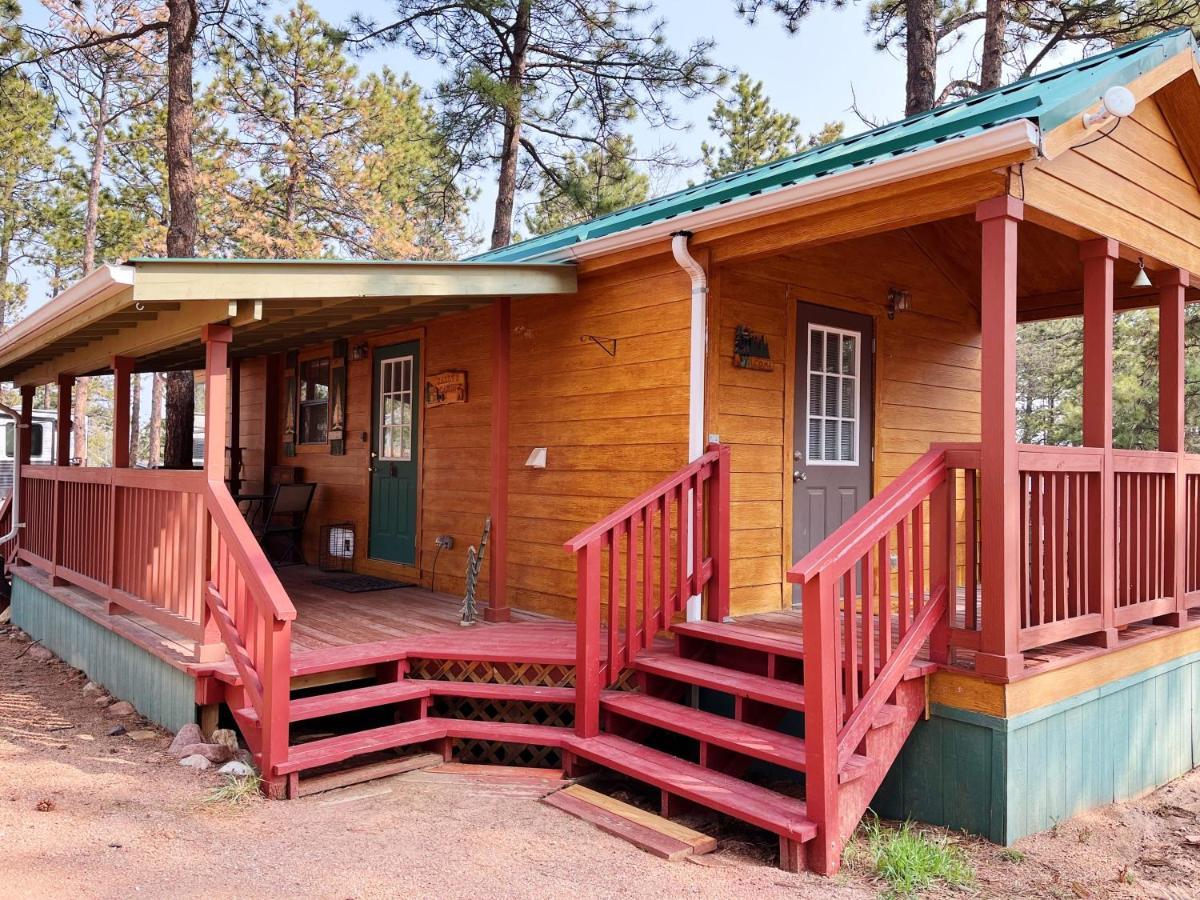 Sally'S Cabin Is A Quaint Two Bedroom Tiny Home Woodland Park Luaran gambar