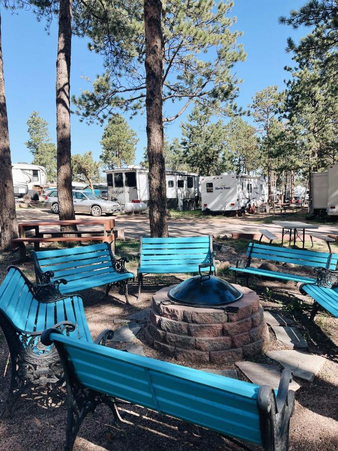 Sally'S Cabin Is A Quaint Two Bedroom Tiny Home Woodland Park Luaran gambar